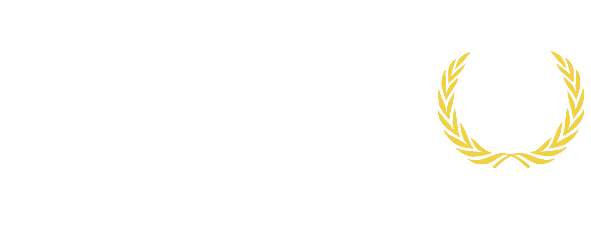 Profi-Vladi